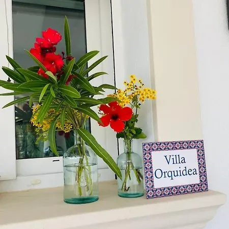 Orquidea *