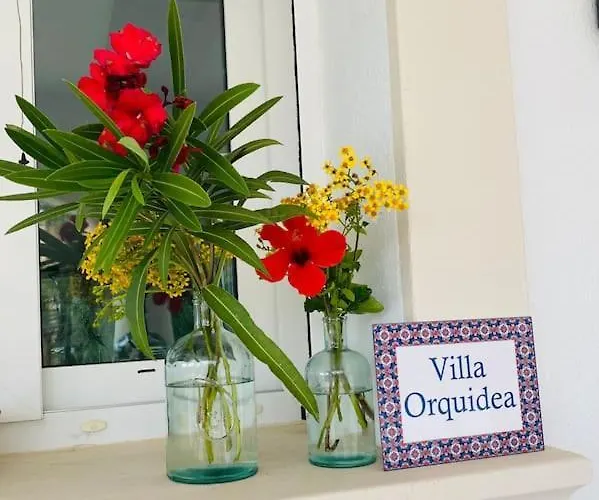 Orquidea *
